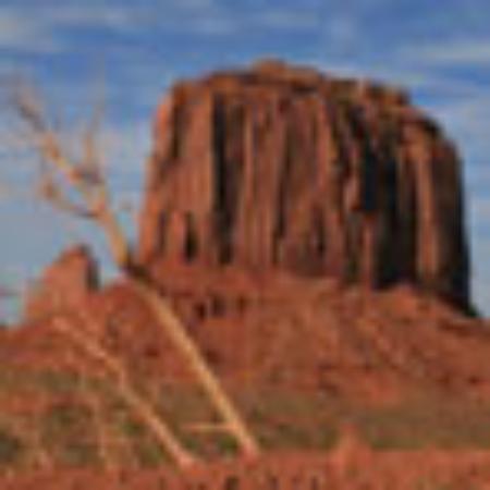 LaoFeng Ge Pin Zhen Xuan